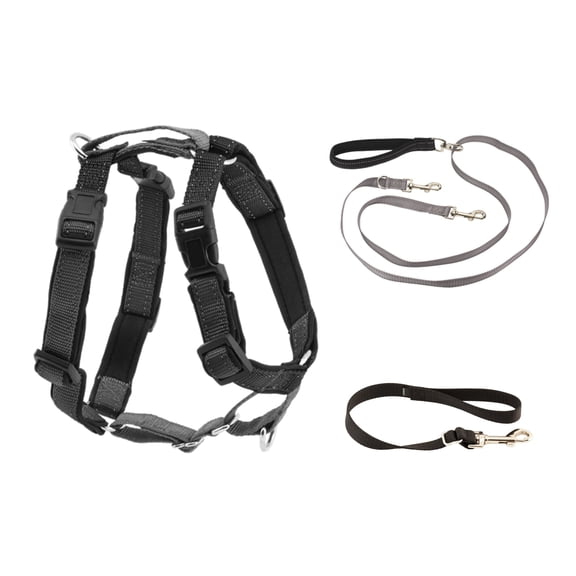 PetSafe 3 in 1 Dog Harness with Two Point Control Leash, Small, Black