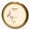 173-174 grams, variant on MVP Proton Volt Disc Golf Fairway Driver, Pick Color/Weight [Stamp & Exact Color May Vary] Orange 173-174 grams