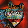 thumbnail image 2 of Stevenson, Graeme 26x26 White Modern Wood Framed Museum Art Print Titled - Electric Wolf, 2 of 4