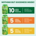 thumbnail image 3 of GoGo squeeZ Applesauce and Fruit Puree, Apple Apple, Apple Mango, and Apple Banana Snack Pouches Variety Pack, 3.2 oz, 20 Pack, 3 of 10