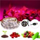 thumbnail image 2 of Moyic Tira de luces LED de espectro completo de 5V 60LED/M 2835 luces de cultivo USB lámparas de plantas hidropónicas 0,5 M/1M/2M/300CM Iluminación y accesorios Moyic HA021902-00, 2 of 5