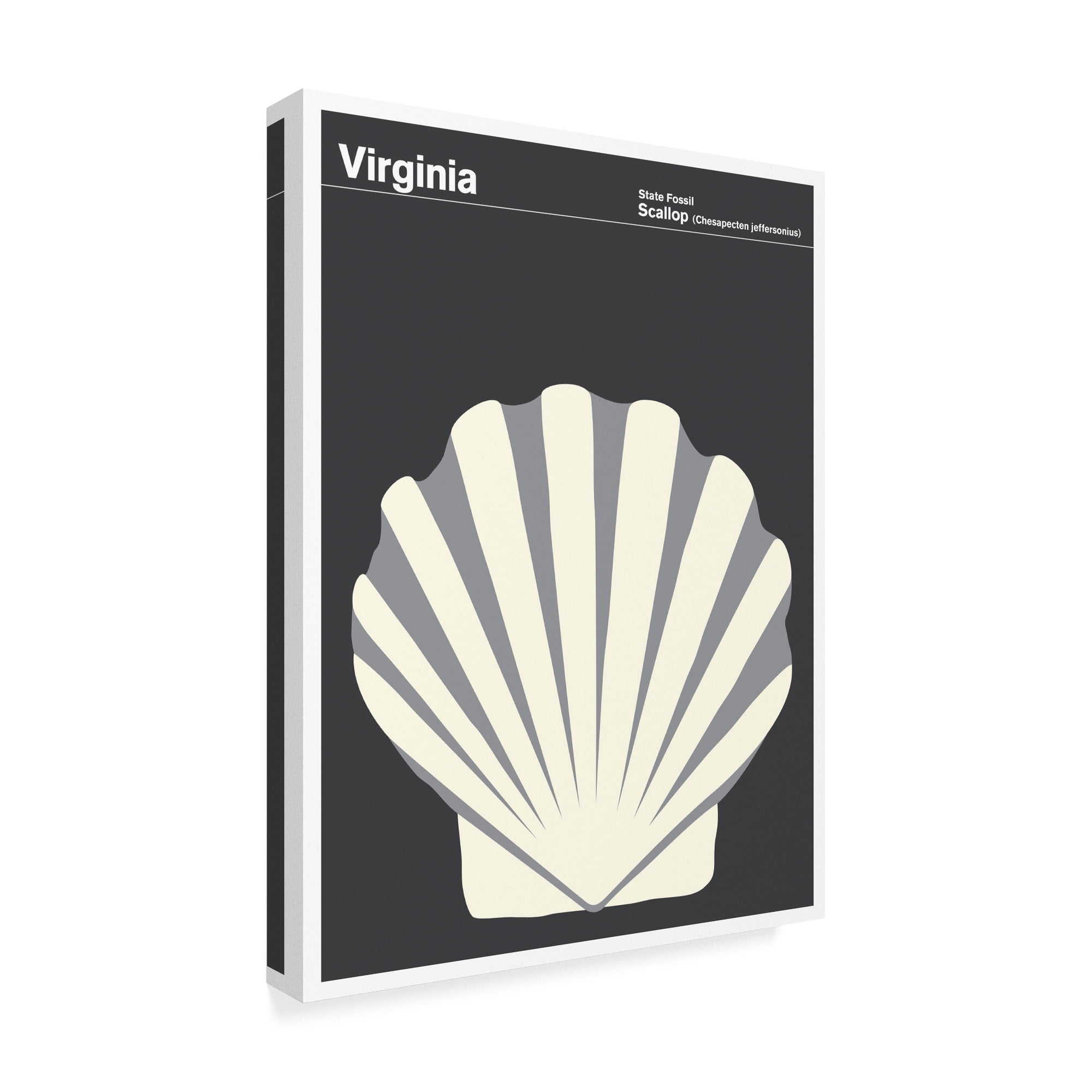 Trademark Fine Art 'Virginia Scallop' Canvas Art by Print Collection - Artist