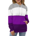 thumbnail image 4 of Asexual Pride Flag Men's Women New Sweatshirt Hoodie Men's Plus Size Sweatshirt Hooded Sweatshirt 3d Printed Street Men's Cloth, 4 of 6