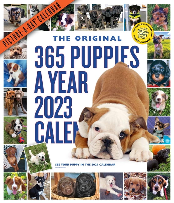 365 PuppiesAYear PictureADay Wall Calendar 2023 Absolutely