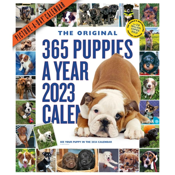 365 PuppiesAYear PictureADay Wall Calendar 2023 Absolutely