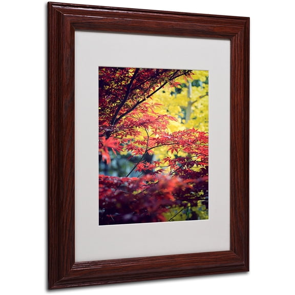 Trademark Fine Art "Red vs Yellow" Canvas Art by Philippe Sainte-Laudy, Wood Frame