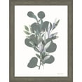 thumbnail image 1 of Great Art Now Watercolor Greenery Series by Bluebird Barn, Framed Wall Art, 19.5W x 25H, 1 of 3