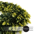thumbnail image 3 of 3rd Street Inn 19" Golden Boxwood Indoor/Outdoor Wreath (L, 2 Pack), 3 of 5
