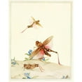 thumbnail image 2 of Edward Julius Detmold 20x24 Black Ornate Framed Double Matted Museum Art Print Titled: Italian Locusts (1921), 2 of 5