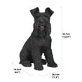 thumbnail image 5 of 13" Sitting Schnauzer Outdoor Garden Statue, 5 of 6