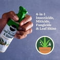 thumbnail image 3 of Miracle-Gro Plant Care Leaf Protect and Shine, 4-in-1 Pest Control Spray, 8 fl. oz., 3 of 10