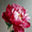 Peony, variant on Textured Impasto Flower Canvas Print Wall Art for Living Room Office Kitchen Hallway