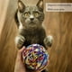 thumbnail image 5 of Juguetes de pelota para gatos, 2 piezas de cuerda de lana de colores, pelota de espuma, pelota de juguete para gato, pelota interactiva para gato, con campana, para eliminar el aburrimiento, 5 of 5