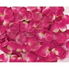 Decor Petals 2" 300/Pkg-Magenta Organza, Pk 1, Wilton