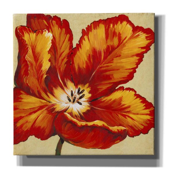 Epic Graffiti 'Parrot Tulip I' by Tim O'Toole, Canvas Wall Art, 37"x37"