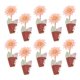 thumbnail image 4 of Ramo de Boutonniere de boda perfecl 10 Piezas Ramillete de Novio Decoración, 4 of 7