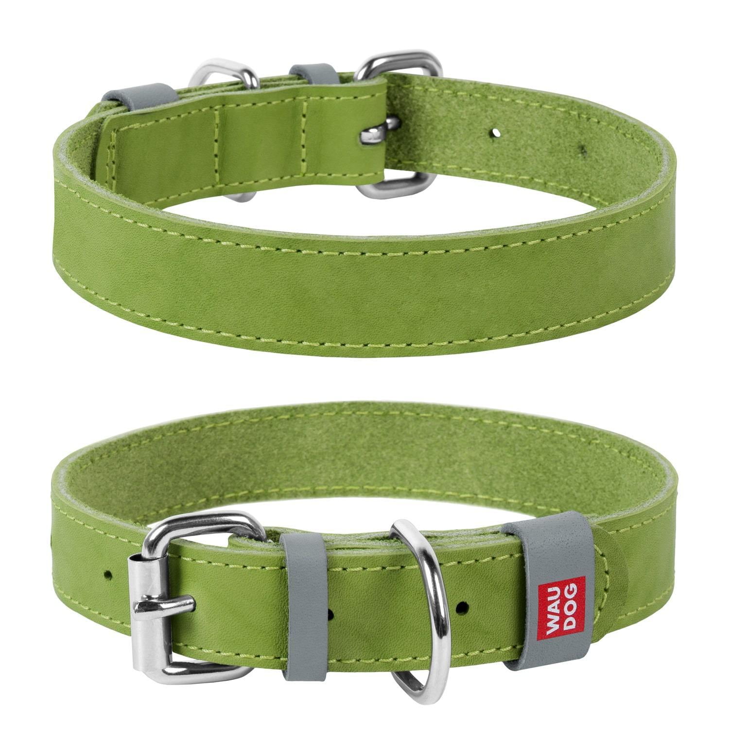 Leather Dog Collar in Green WAUDOG Classic COLLAR America