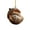 D, variant on 1 Pc 2D Flat Acrylic Woodland Squirrel Christmas Ornament, 3.14" Sleeping Animal in Acorn Shell Tree Hanging Decoration, Shatterproof Holiday Decor