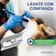 thumbnail image 5 of Kit de Limpieza Dental para Perro Sabor Carne con Cepillo de Dientes de Silicona Suave, 5 of 7