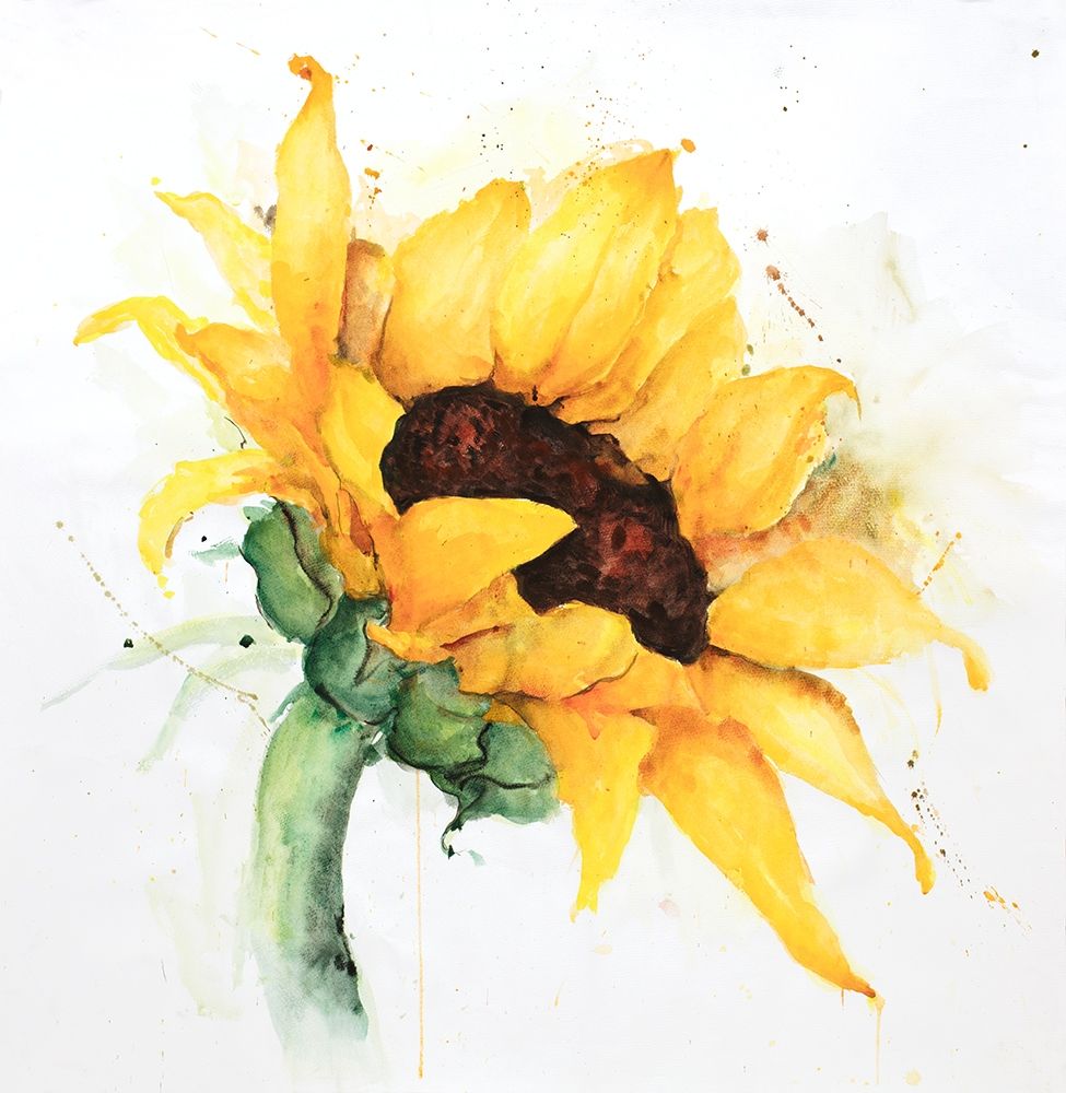 WATERCOLOR SUNFLOWER WITH PAINT SPLASH Poster Print by Atelier B Art