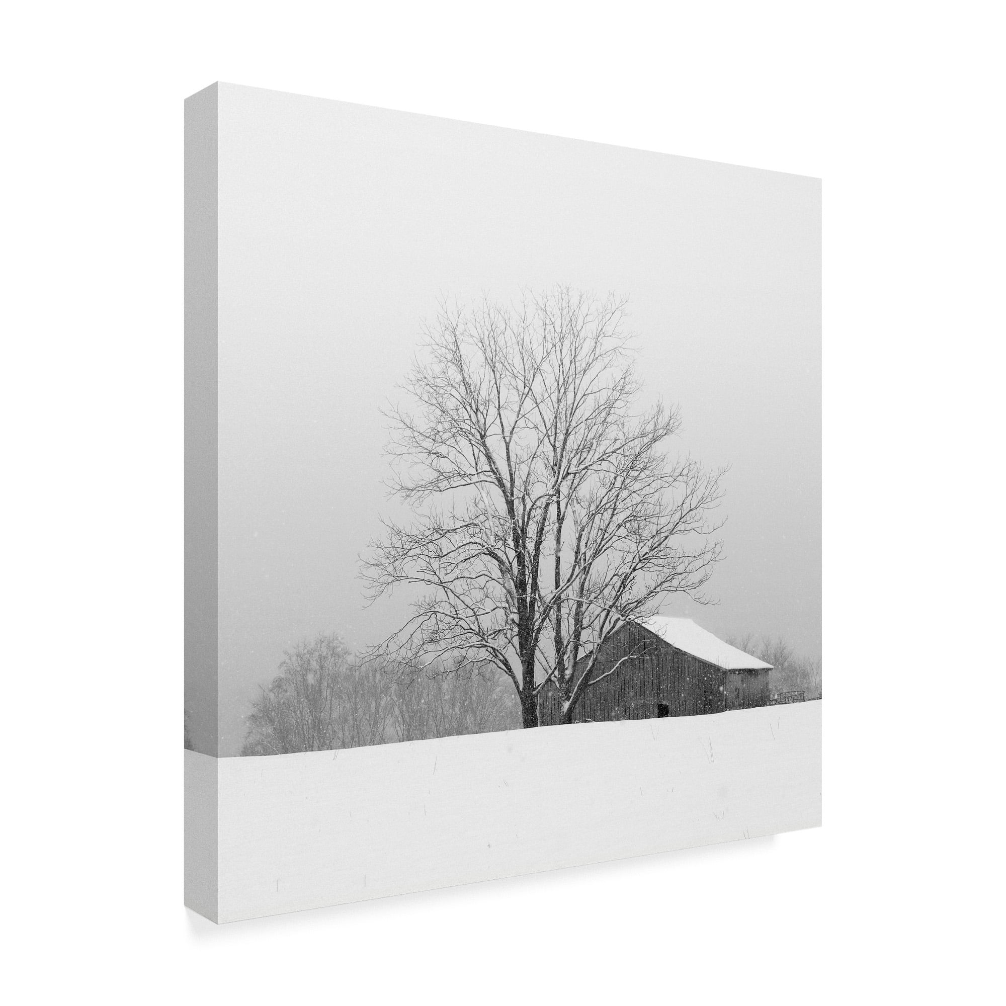 Trademark Fine Art 'Townsend Winter' Canvas Art by Nicholas Bell Photography