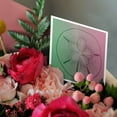thumbnail image 3 of 3drose, Pink and Lime Sand Dollar Beach Theme Art, 12 Greeting Cards with Envelopes, 3 of 7