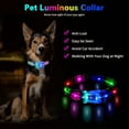 thumbnail image 2 of LED Dog Pet Collars Luminous Necklace Buckle IP68 Waterproof Rechargeable Flashing Dog Collar Pet Safety Collar (Yellow-ML), 2 of 7