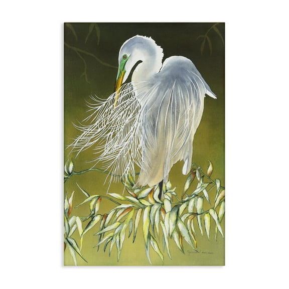 Stupell Industries Heron with Detailed Feathers Animals & Insects Painting Gallery Wrapped Canvas Art Print Wall Art, 16 x 24