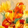 thumbnail image 3 of Stone, Jim 15x15 Black Modern Framed Museum Art Print Titled - Tulips in the Sun I, 3 of 5