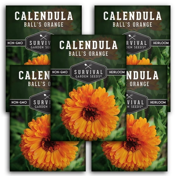 Ball's Orange Calendula Seeds - 5 Pack - Non-GMO Heirloom Full Sun Annual