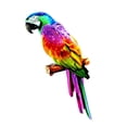 thumbnail image 1 of Colorful Artificial Parrots Figurines Sculpture Animal Photo Props Hanging Miniature DIY Model For Yard Decoration style A, 1 of 7