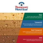 Thompsons WaterSeal Transparent Wood Sealer, Chestnut Brown, 1 Gallon