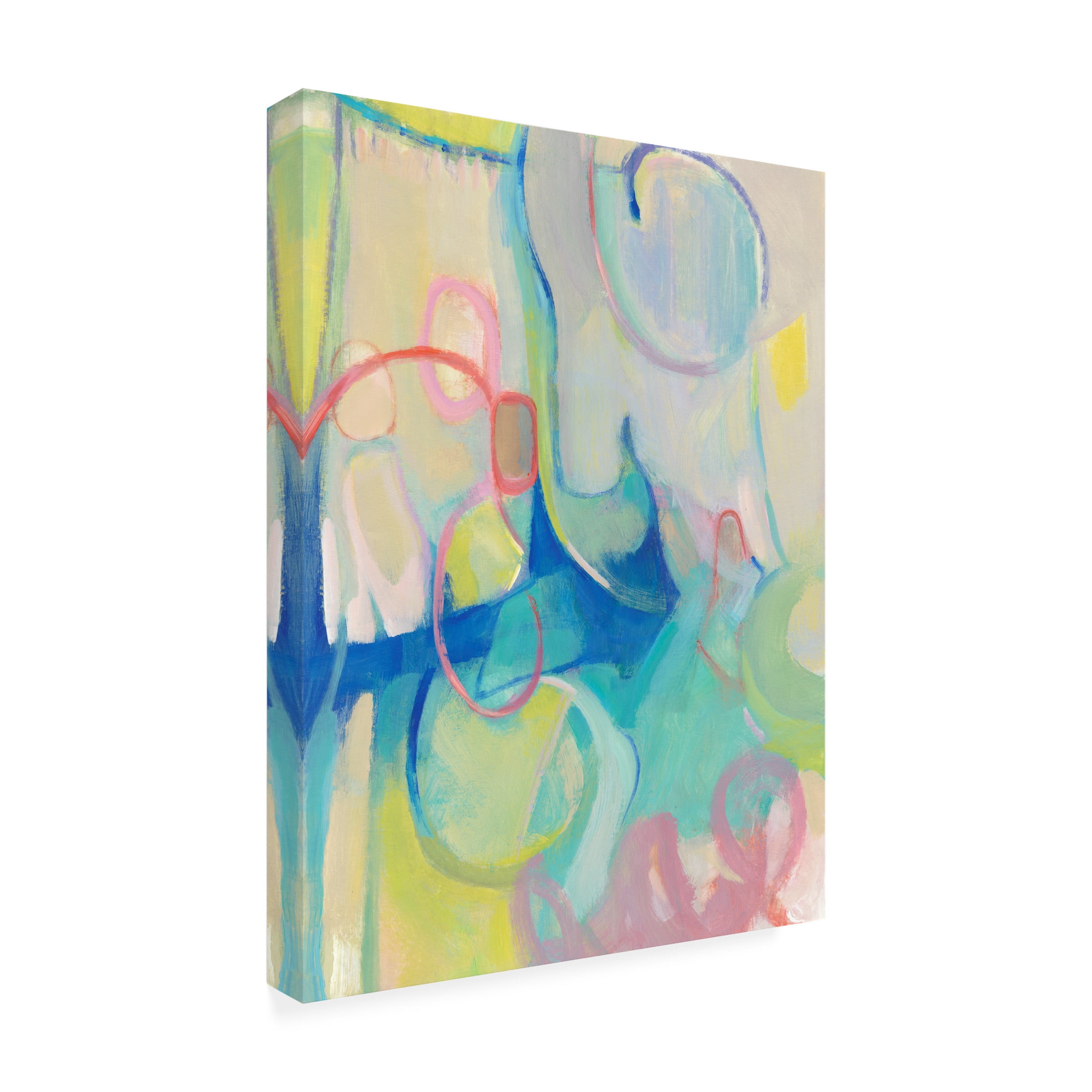 Tim O Toole 'Lasso II' Canvas Art