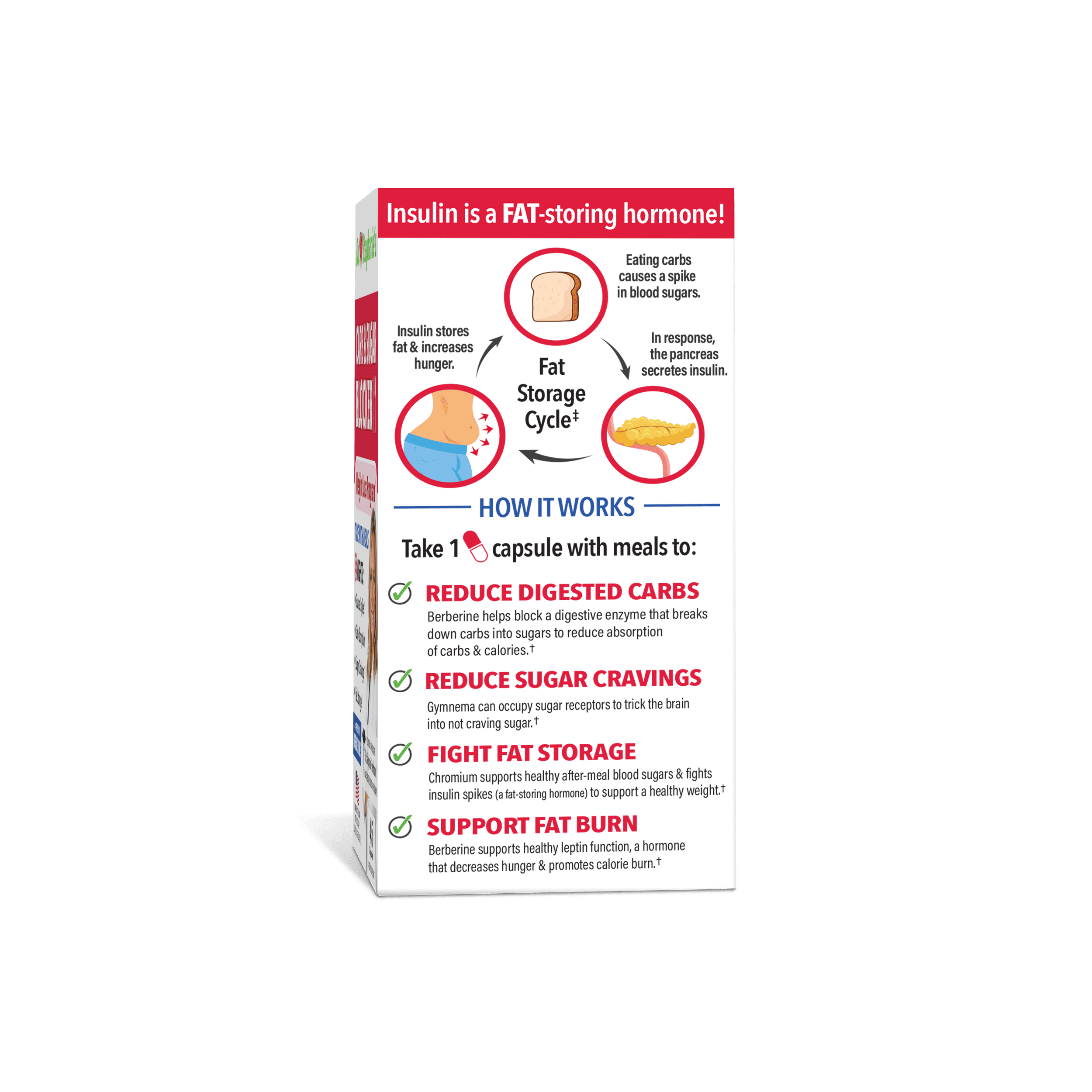 Dr. Stephanie's Double Pack- Blood Sugar 24 Hour + Carb & Sugar Blocker - 2 Pack Supplements