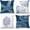 Starfish and Coral, variant on Coastal Beach Pillow Covers 20x20 Set of 4 - Beachy Room Decor Aesthetic, Coastal Beach House Decor, Starfish Seashell Coral Coastal Beach Decorative Throw Pillow Covers (Double-Sided)