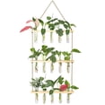thumbnail image 4 of Terrario de planta colgante de pared de 3 niveles con soporte de madera, florero, macetero de vidrio para corte de plantas hidropónicas, jardín del hogar, 4 of 5