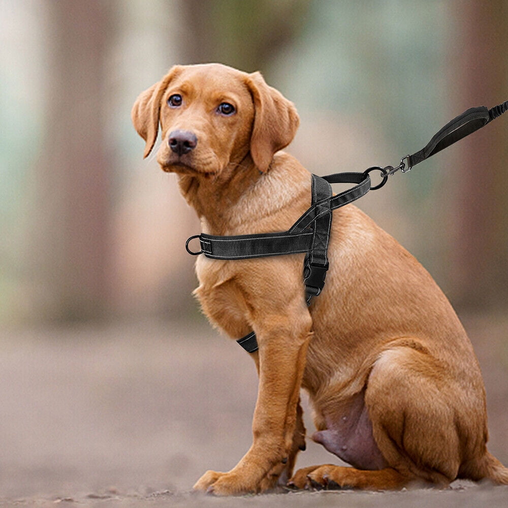 Pet Artist No Pull Dog Harness Front Leading Training Chest Strap Vest Strong Nylon with Handle Reflective