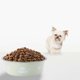 thumbnail image 4 of Acero inoxidable Slip Pet Bowl Universal Bowl y gatos derrame cuenca de alimentación cuenco de agua de grado alimenticio duradero gato y el cuenco de comida para perros, 4 of 6
