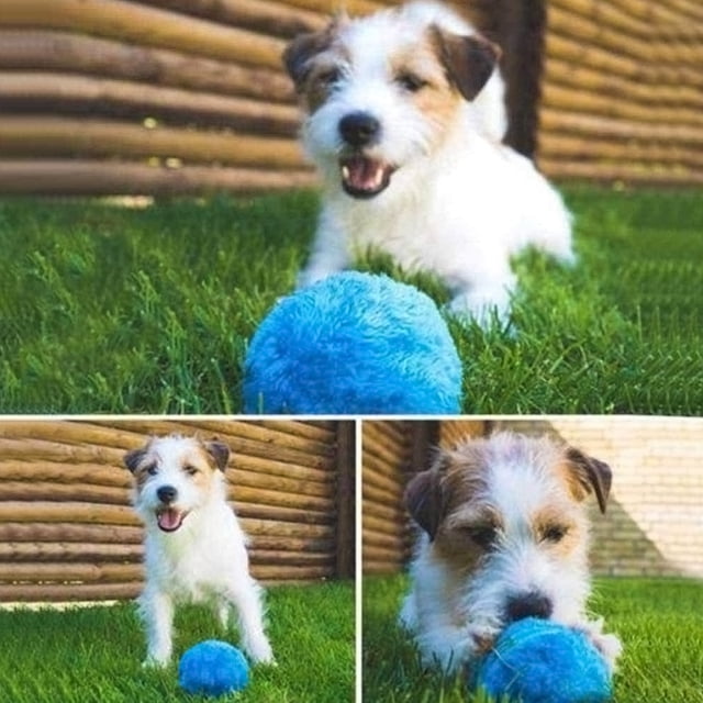 Juguete interactivo para mascotas Sincero bola con rodillo segura y automática para perros y gatos