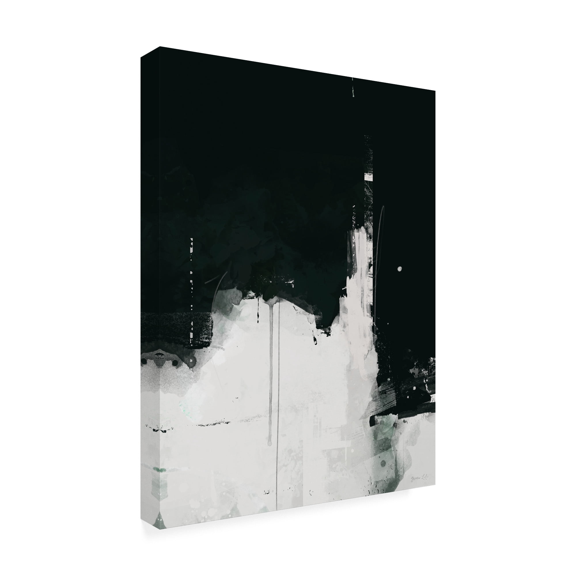 Trademark Fine Art 'Nightfall Black And White' Canvas Art by Green Lili