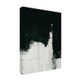 thumbnail image 2 of Trademark Fine Art 'Nightfall Black And White' Canvas Art by Green Lili, 2 of 3