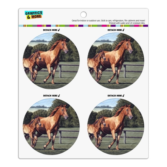 Mother Horse and Foal Baby Fresh Start Refrigerator Fridge Locker Vinyl Circle Magnet Set