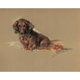 thumbnail image 2 of Dawson, Lucy 24x20 Gold Ornate Wood Framed with Double Matting Museum Art Print Titled - Daschund, Robin, 2 of 4