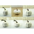 thumbnail image 4 of 6 Piezas Diferentes Tamaños Calabazas Falsas Calabazas De Espuma Juguete Para Decoración De Halloween ANGGREK  Otros, 4 of 8