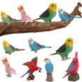 thumbnail image 4 of Modelos Pájaros Artificiales Modelo Loro Realista Estatua Pájaro Jardín Adornos, 4 of 9
