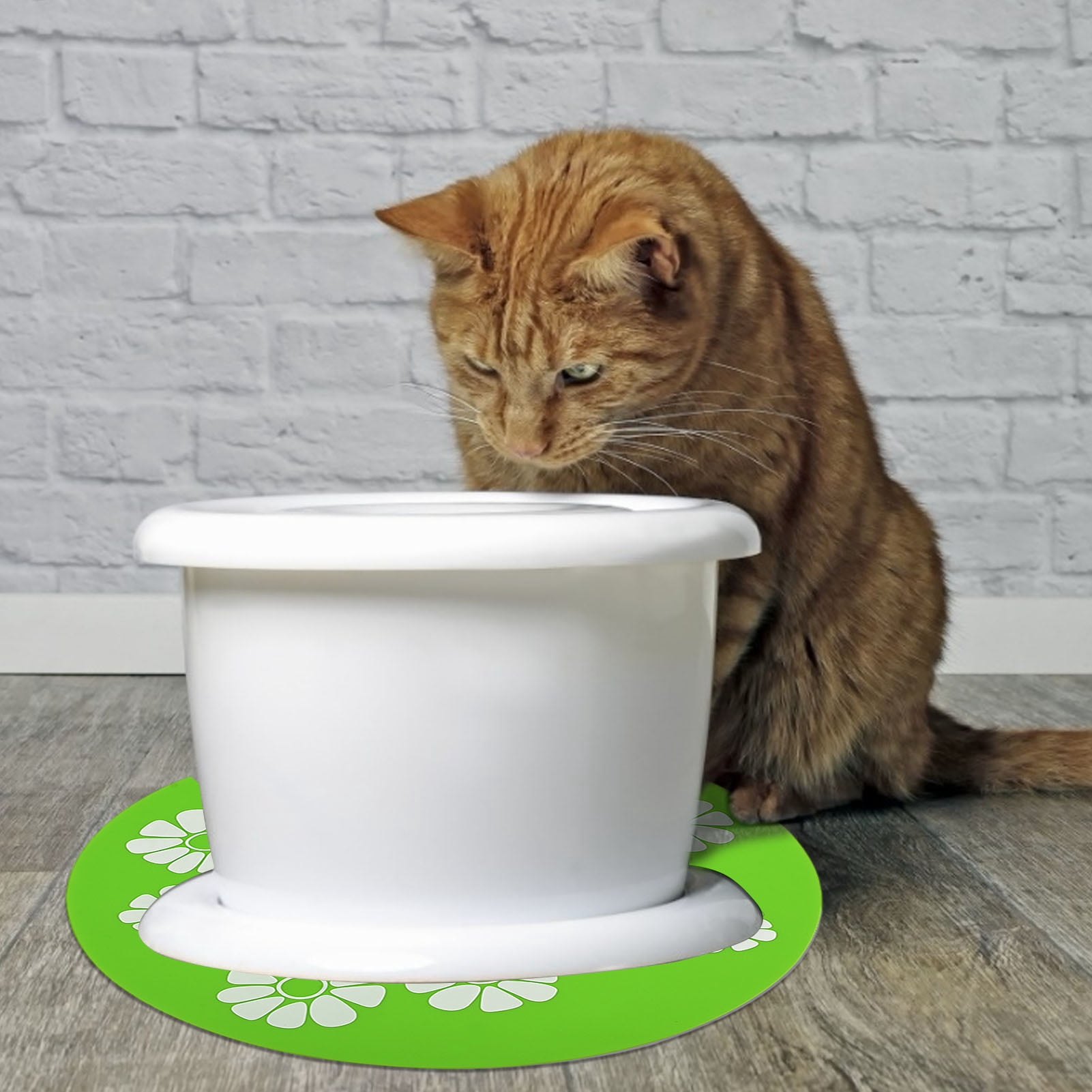 cat water fountain mat