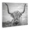 thumbnail image 3 of Joe Reynolds Highland Cow 20 in x 16 in Photography Canvas Art Print, by Stupell Home Décor, 3 of 7
