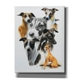 thumbnail image 1 of Epic Graffiti 'Italian Greyhound Medley' by Barbara Keith, Canvas Wall Art, 26"x34", 1 of 8
