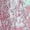 #3_Pink, variant on Sexy Hot Pants Women Summer Floral Print Shorts High Elastic Waisted Skinny Mini Short Pants Y2K 2025 Trendy Bottoms Outfits Clothing