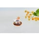 thumbnail image 4 of 6 Piezas Micro Paisaje Bonsai de Postres Gato de Resina Decoración de Artesanía de Jardín Sharpla Micro paisaje, 4 of 6